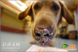 惜香怜玉_20071139212052717