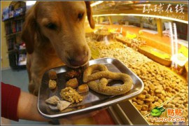 惜香怜玉_20071139213955568