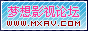 惜香怜玉_20071141245714240
