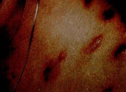 惜香怜玉_20071168162851521