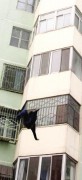 惜香怜玉_20071181202734956