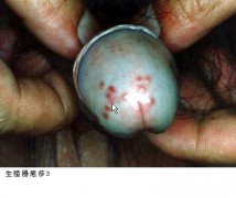 香温玉软_2007161859590661