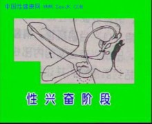 色影无剂_200612268294880816