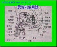 色影无记_200612238261953239