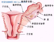 色影无记_200612248225610505