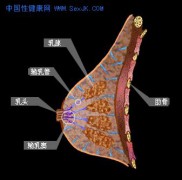 色影无记_200612248243165668