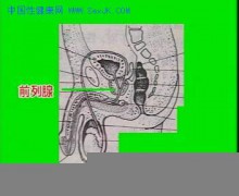 色影无寄_200612218265913600