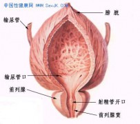 色影无寄_200612218341675546