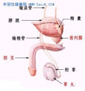 色影无寄_200612228303829857