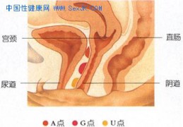 色影无纪_20061225874275600