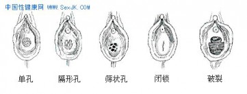 色影无基_2006122786390221