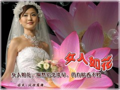 动画世界_2006112614553378841