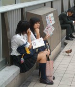 姹紫嫣红_200611188422278734