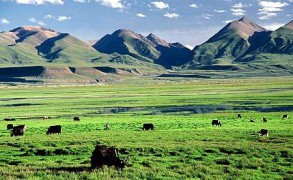 风景伊人_20061128826910337