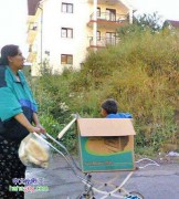 风景伊人_20061128841729913