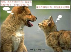 千朝回盼_2007289234148894