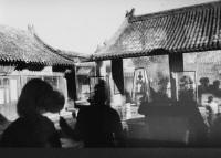 云边探竹_2007241140315285