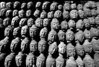 云边探竹_2007259342697236