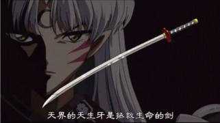 云边探竹_20072251652154068