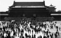 云边探竹_20072411381153423