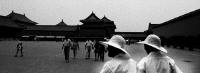 云边探竹_20072411411091558