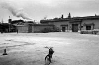 云边探竹_20072411412896240