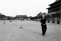 云边探竹_20072411415269855
