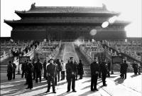 云边探竹_20072411431388561