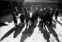 云边探竹_20072411453334938