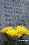 回顾千万_200711718353367519