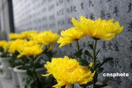 回顾千万_200711718355323532