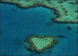 一笑千金_200711414504261623