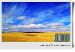 情致两饶_200711012291984786