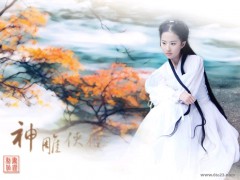 皎如秋月_20071318563089307