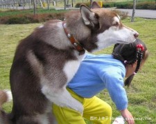 皎如秋月_20071411103840677
