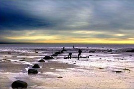 皎如秋月_20071411412268996