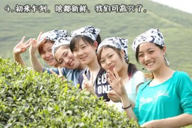 皎如秋月_20071515371051655
