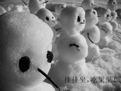九秋之菊_20071271818549090