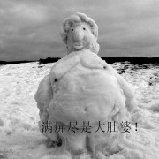 九秋之菊_20071271821555414