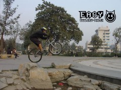 九秋之菊_20071271848278647
