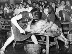 南国佳人_2007461061688075