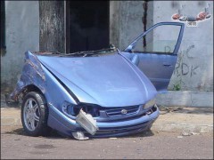 南国佳人_2007461215142673
