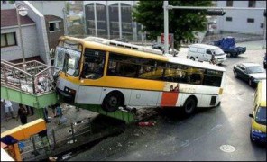南国佳人_2007461232424382