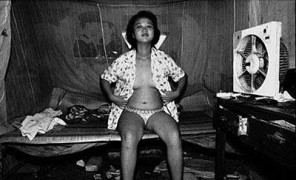 南国佳人_20074417303224814