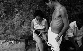 南国佳人_20074417353271105