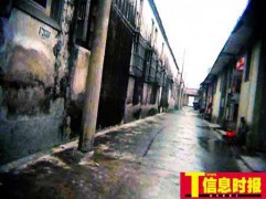 南国佳人_20074418231492990