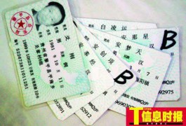 南国佳人_20074418243717002