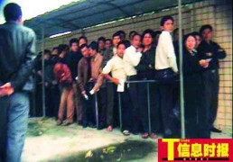 南国佳人_20074418245239015