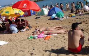 容华若李_200742418114873909