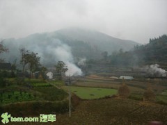 冶容姿鬓_20073151224267264